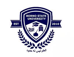 University of Maiduguri, Borno State Project