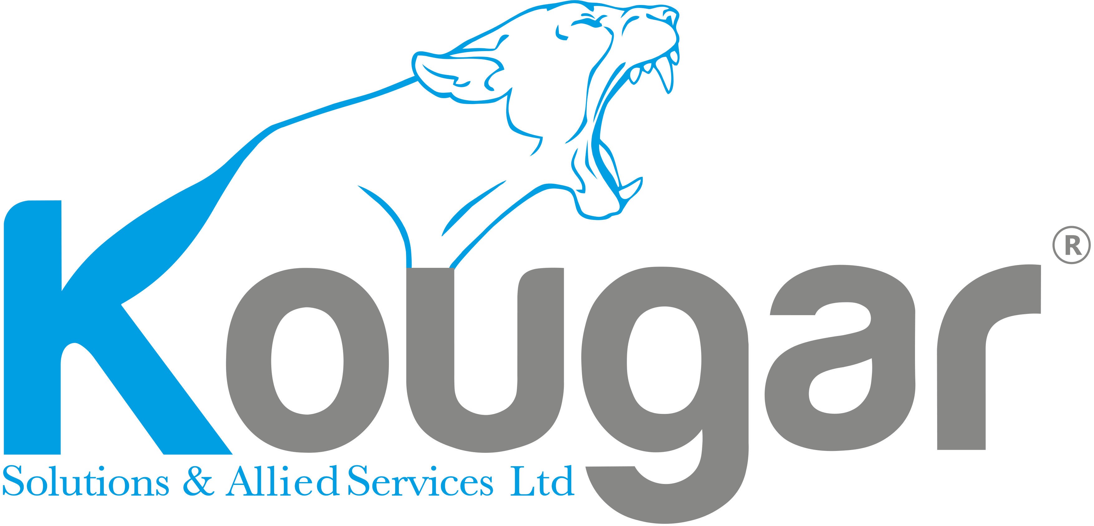 Kougar Solutions & Allied Services Ltd